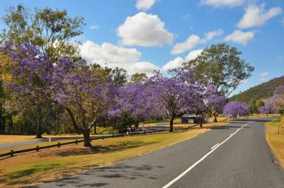 road australia