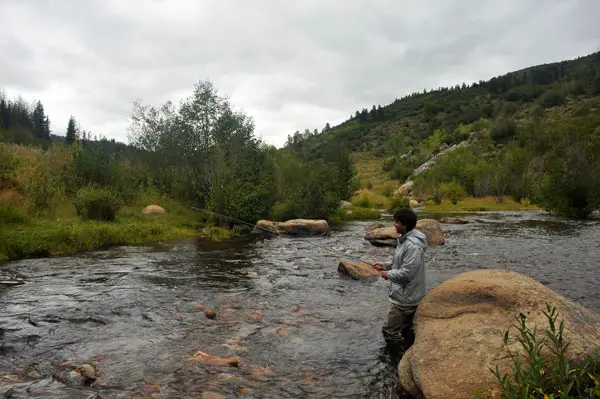 fly fishing steambot colorado