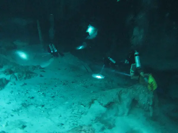 divers in cenote