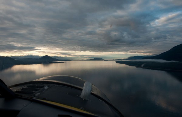 bear watching juneau