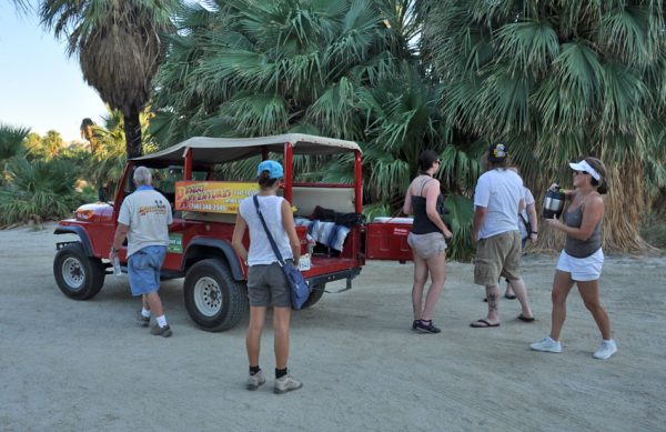 Red Jeep Desert tours