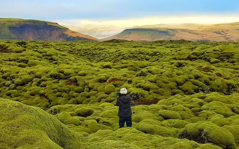 iceland green