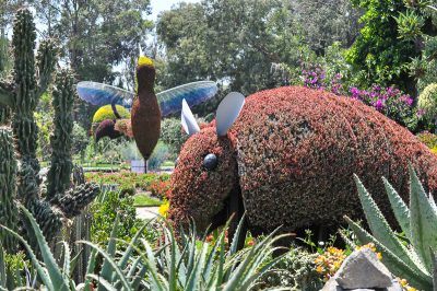 jardin botanico atlixco 2 Atlixco botanical garden