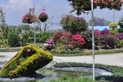 jardin botanico atlixco atlixco garden