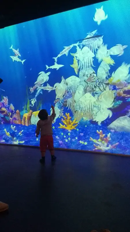 childrens museum san diego 2 children museum san diego