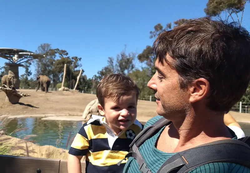 san diego zoo elephants san diego zoo toddler