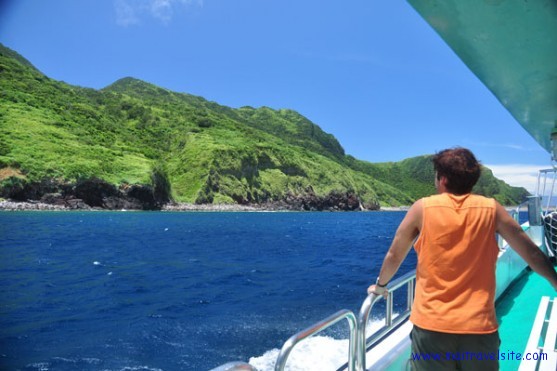 looking for whales hualien maitravelsite