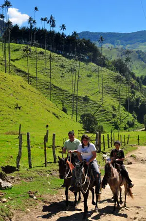 horses valle del cocora