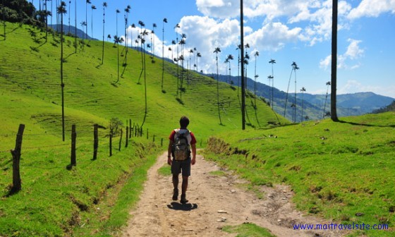 walking in valle del cocora colombia maitravelsite