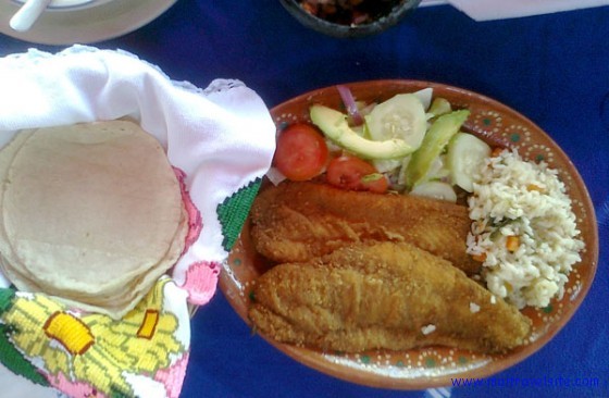 fish and tortillas mexican food fish and tortillas