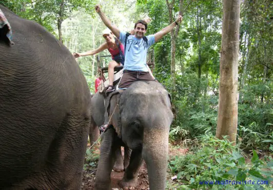elephant_riding_chiang_mai