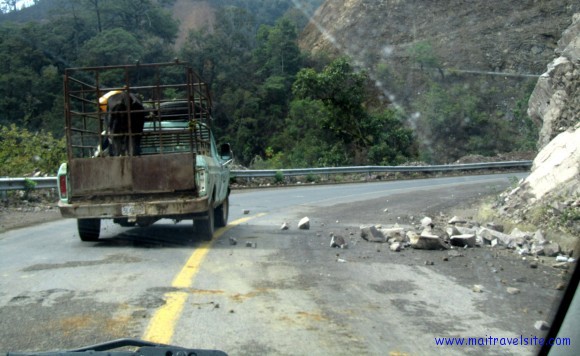 stones and cow rocks on road
