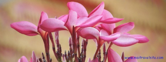 depth of field depth of field