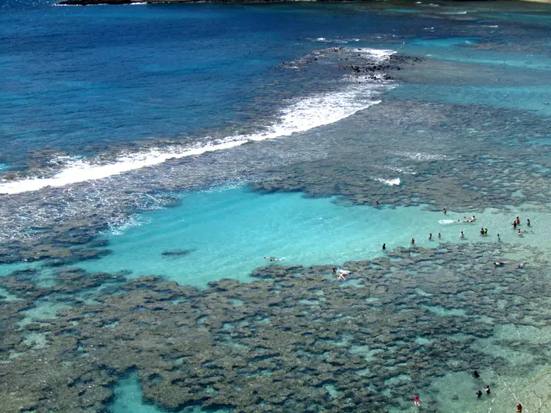 hanauma bay snorkeling