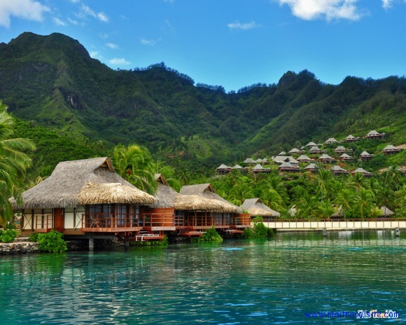 moorea french polynesia