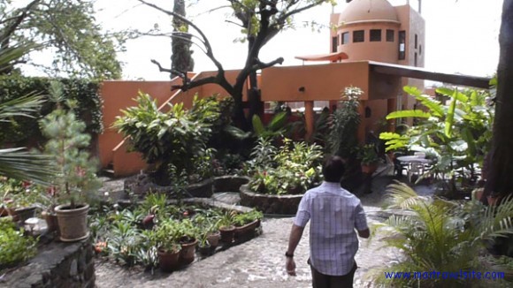 Angel flores guesthouse