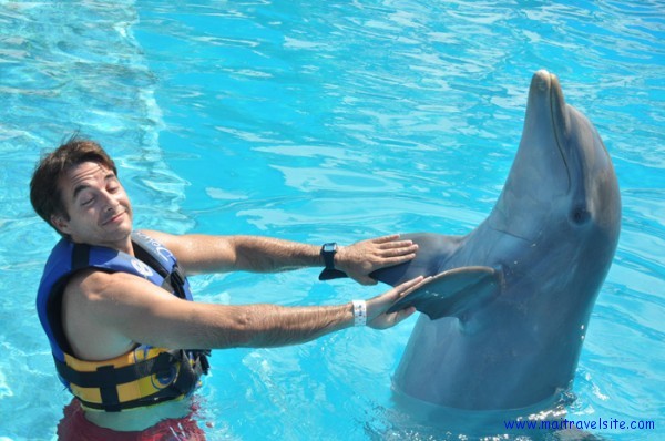 person playing with dolphin