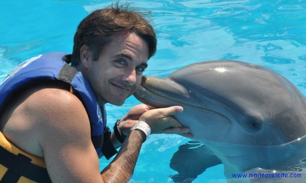dolphin kiss