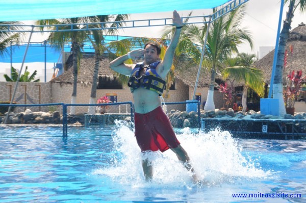 being pushed by two dolphins