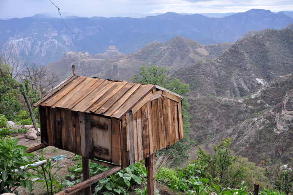 raramuri hut copper canyon