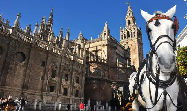 things to do in seville Spain