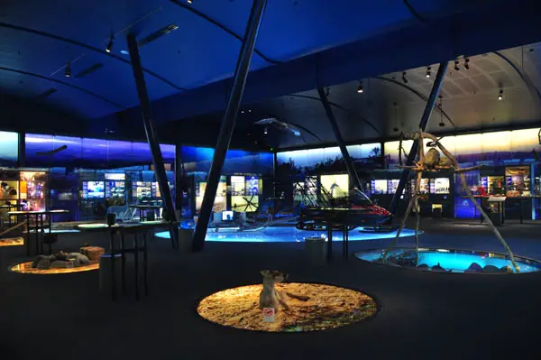 siida-museum-inari SIIDA museum