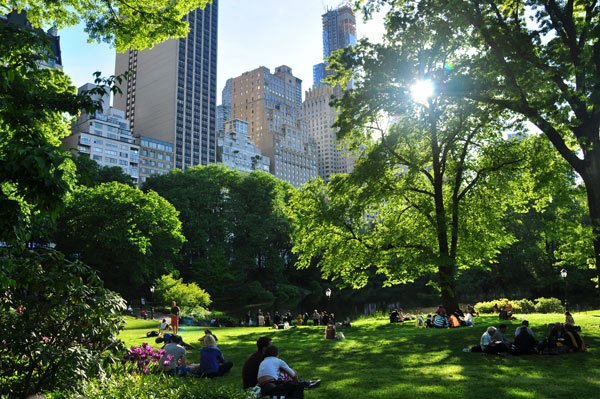 Central Park in New York