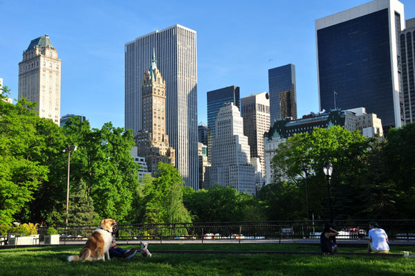 Central Park New York