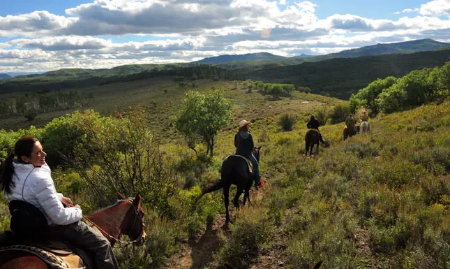 Steamboat springs horses hill view