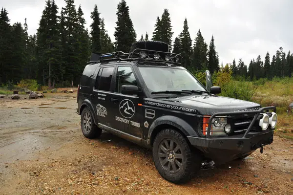 black bears whistler
