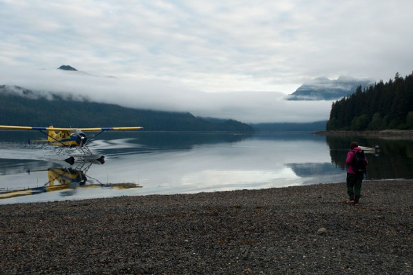bear watching juneau