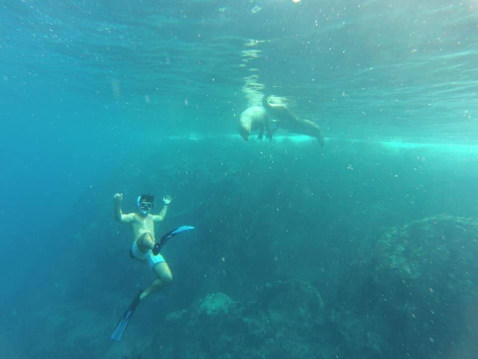 koki seal la paz 2 - Copy sea lions la paz mexico