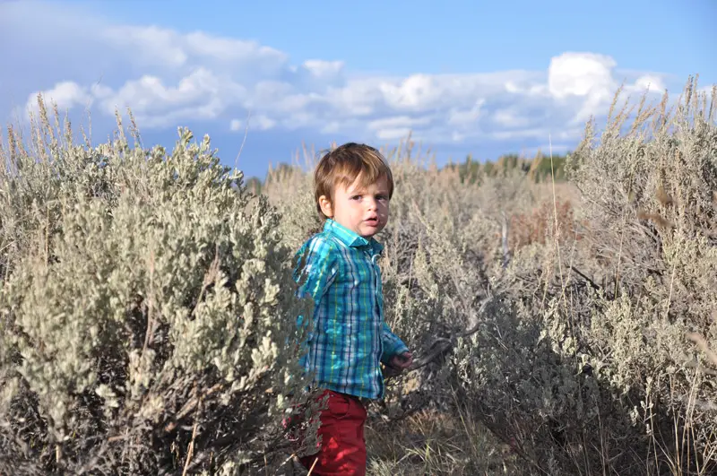 yellowstone-walk