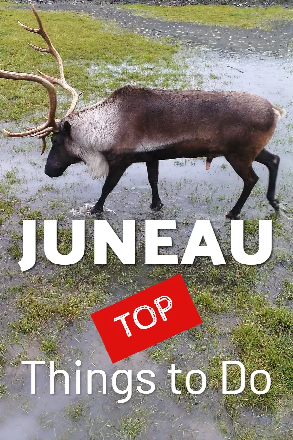 things to do in juneau