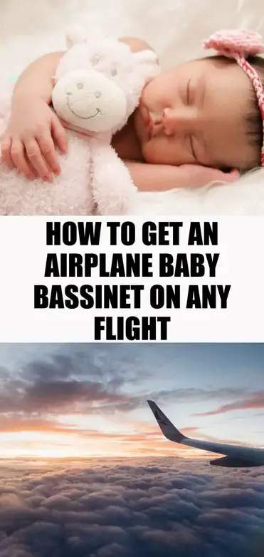 How To Get A Baby Airplane Bassinet On Any Flight Maitravelsite - Flying Falcon Car Seat Carrier