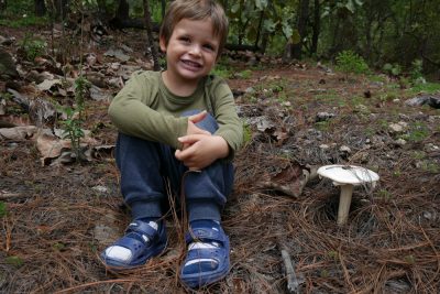 san-sebastian-mushroom-trek real el alto san sebastian del oeste