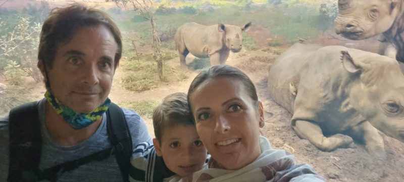 summer in nyc with kids