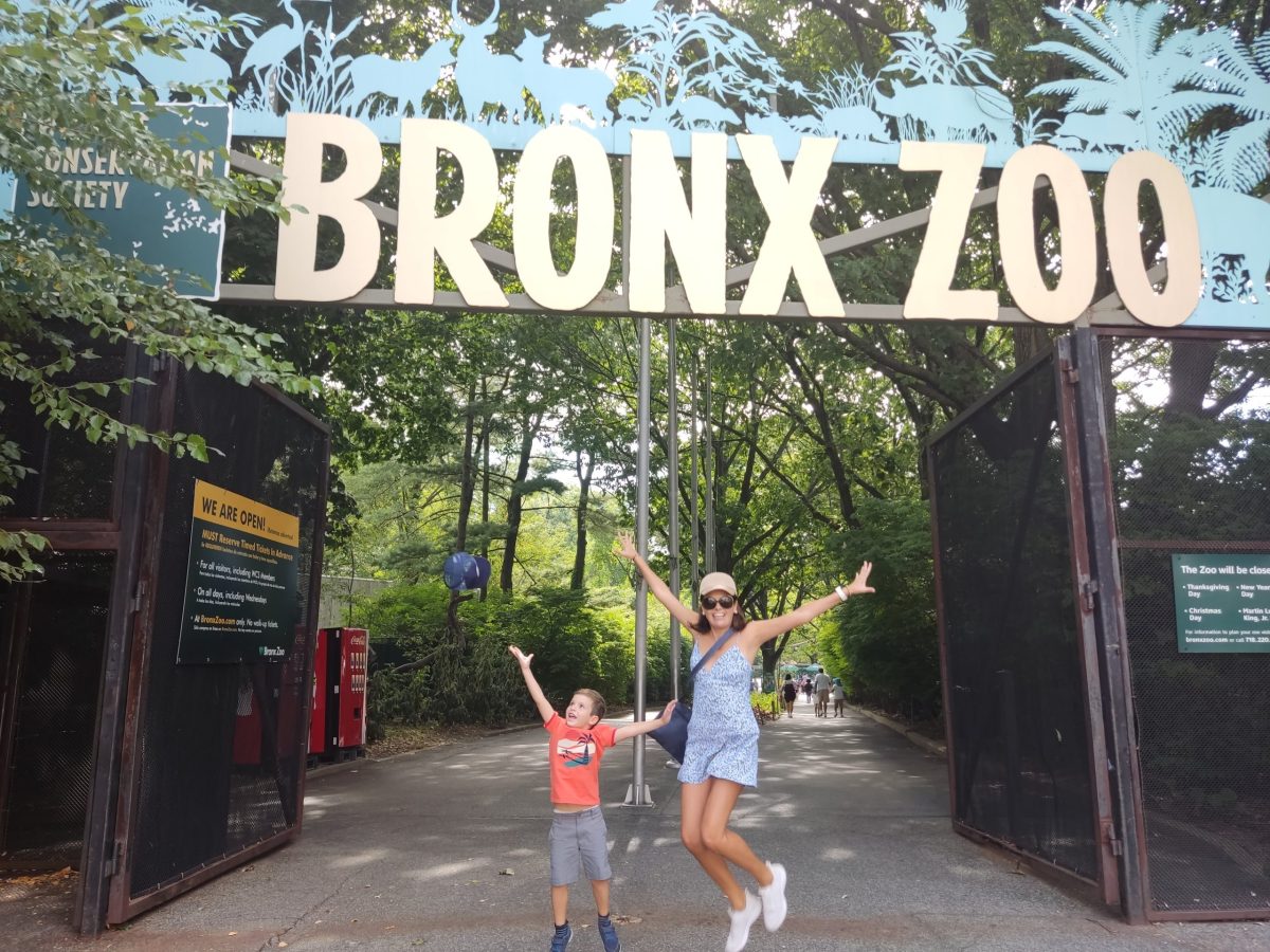 bronx zoo kids