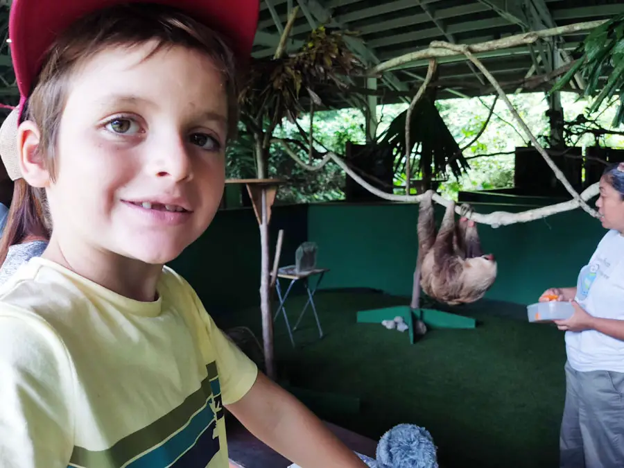 sloth-sanctuary-teo sloth sanctuary teo