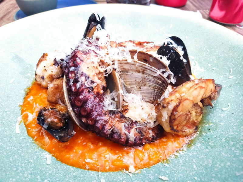 food-tepic-octopus food tepic octopus