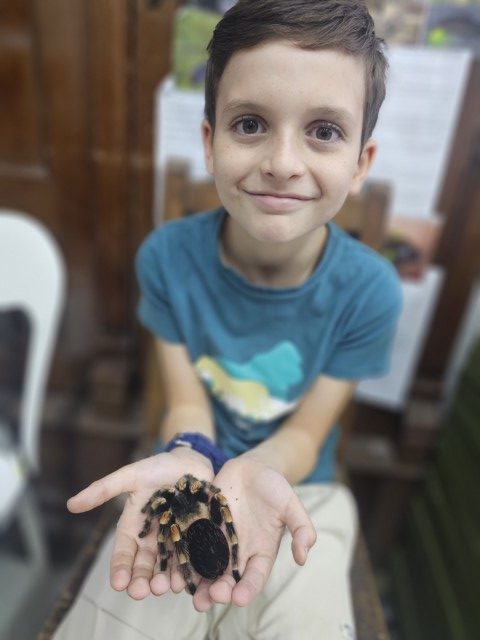 teo holding tarantula